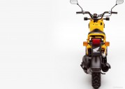 Honda Zoomer Honda Zoomer
